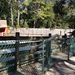 Popcorn Park - Goat feeding