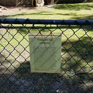Popcorn Park - Capybara sign