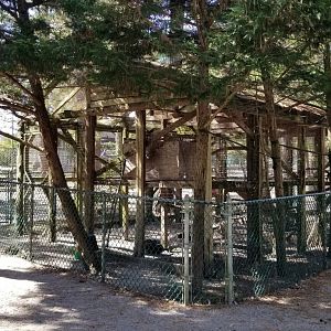 Popcorn Park - Birds of prey