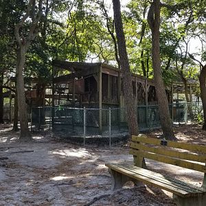 Popcorn Park - Fox exhibits