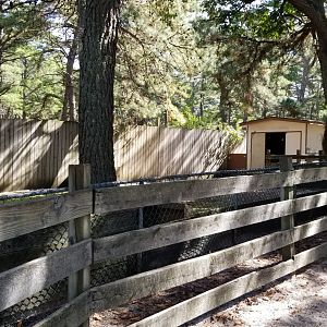 Popcorn Park - Patagonian mara, aldabra yard