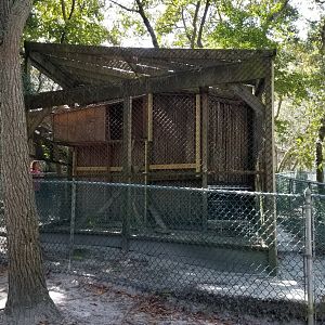 Popcorn Park - Empty exhibit