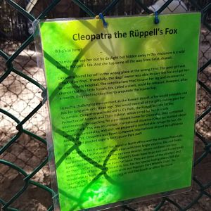 Popcorn Park - "Ruppell's fox" sign, actually an Arabian red fox