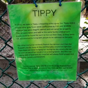 Popcorn Park - Grey fox sign