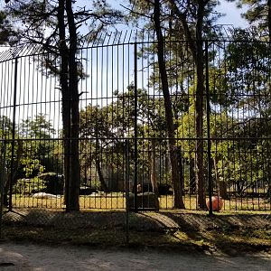 Popcorn Park - White tiger