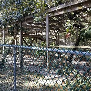 Popcorn Park - Bobcats