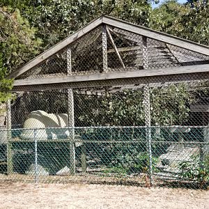 Popcorn Park - Bobcats