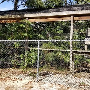 Popcorn Park - Bobcats