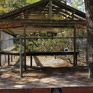 Popcorn Park - Bobcats