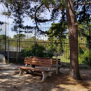 Popcorn Park - NA Black Bear exhibit 2