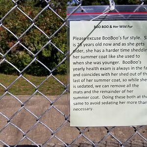 Popcorn Park - NA Black Bear exhibit 2