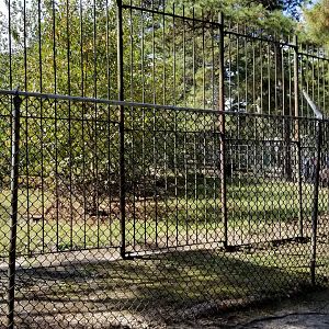 Popcorn Park - NA Black Bear exhibit 1