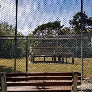 Popcorn Park - Puma? Snow leopard? Didn't see, no signs