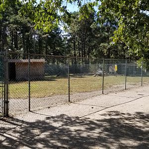 Popcorn Park - Sheep