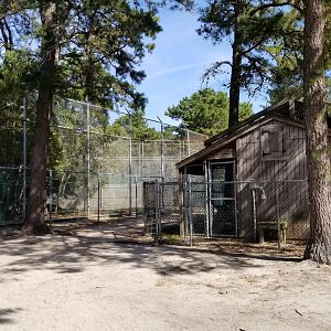 Popcorn Park - Building