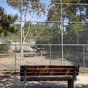 Popcorn Park - Puma? Snow leopard? Didn't see, no sign