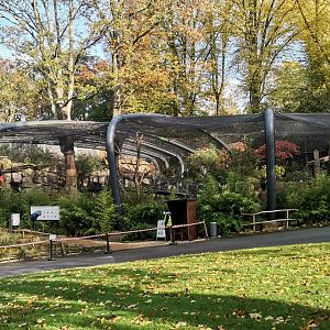 Aralandia general view