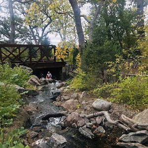 Asian Highlands - Stream