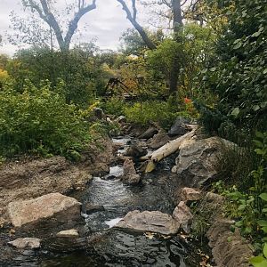 Asian Highlands - Stream