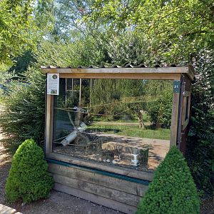 Harvest mouse enclosure