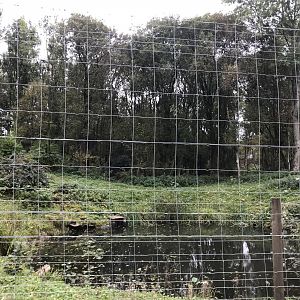 Brown bear enclosure