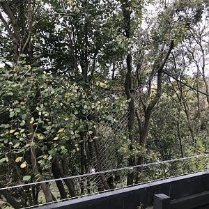 Red panda enclosure from the top