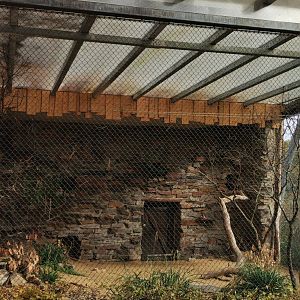 Long-nosed Potoroo/ New Zealand Shoveler/ Laughing Kookaburra/Bush Thick-knee exhibit