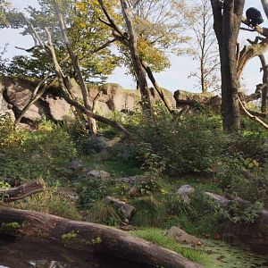 Spectacled Bear exhibit