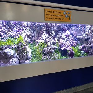 'Variety of Life' Exhibit