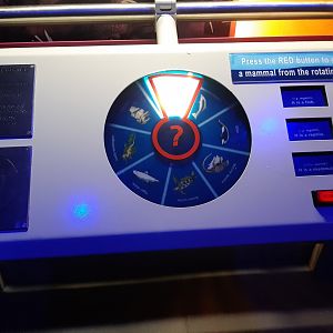 Early Seas Interactive Display