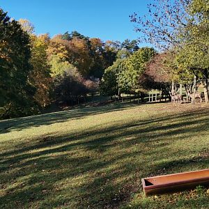 Wildpark Donsbach - Japanese Sika exhibit