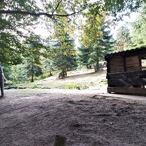 Mediterranean miniature donkey enclosure