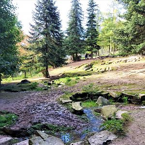 Mediterranean miniature donkey enclosure