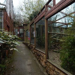 View towards Ringtail and Yellow-throated marten enclosure 140421
