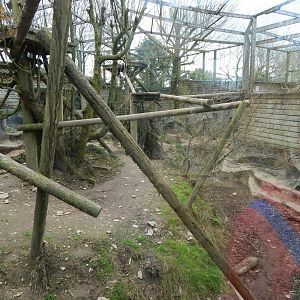Puma enclosure 140421