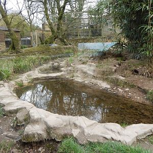 Bush dog enclosure 140421