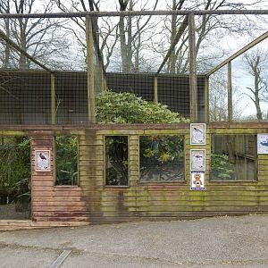 Aviaries 140421