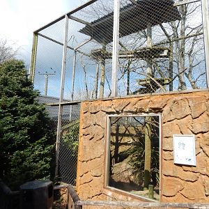Margay enclosure 140421