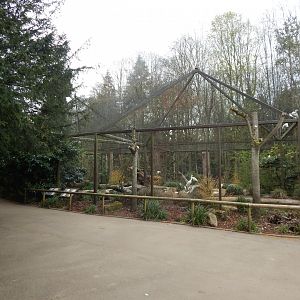 Large Wading Bird Aviary 210421