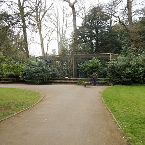 Siberian Pallas cat enclosure 210421