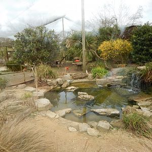 Aviary in Walled Garden 210421