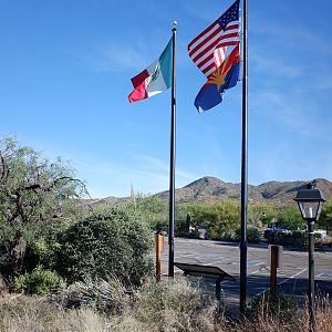 International Flags at entrance