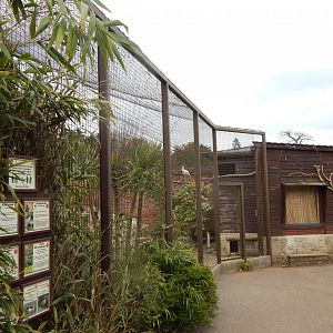 Large wading bird aviary - Walled Garden 210421
