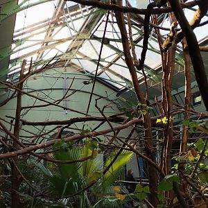 Arnulf und Elizabeth Reichert Haus, indoor