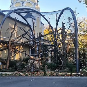 Geoffroy's Cat exhibit, outdoor