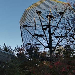 Madagascar House outdoor cubic spheres