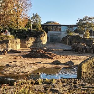 Asiatic Elephant facility