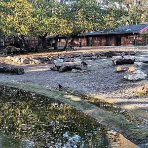 Banteng/Blackbuck paddock