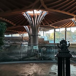 Asiatic Elephant facility, indoor