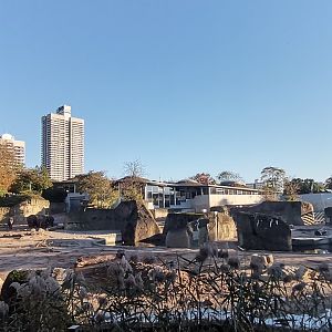 Asiatic Elephant facility